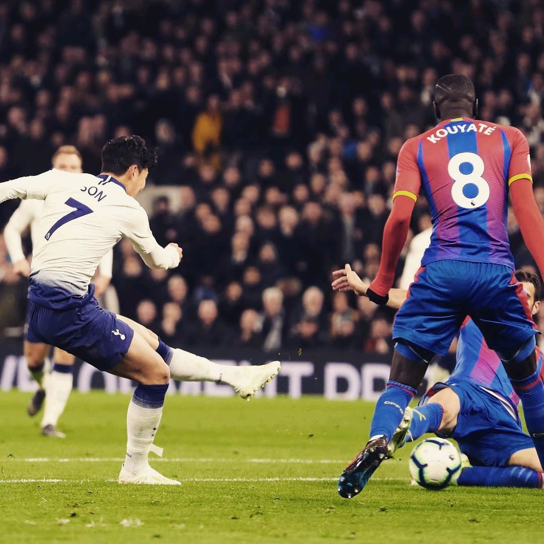 的成长历程 的成长历程